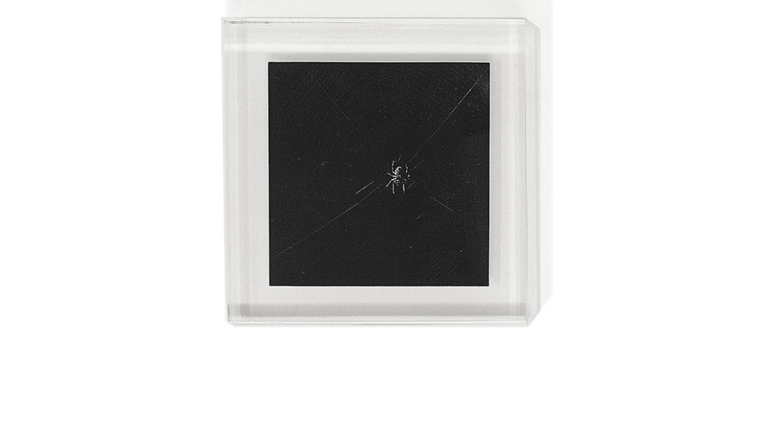 9_M_09751