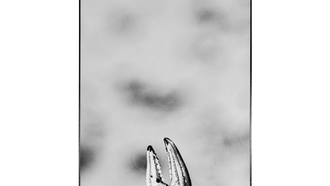 _M_09902